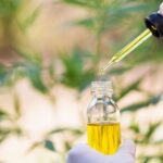 cbd oil and drug testing